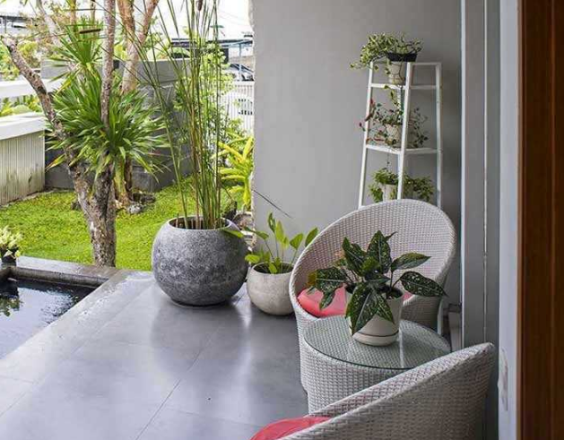 Inilah 5 Tanaman yang Mendatangkan Rezeki dan Keberuntungan untuk Diletakan di Teras Rumah!