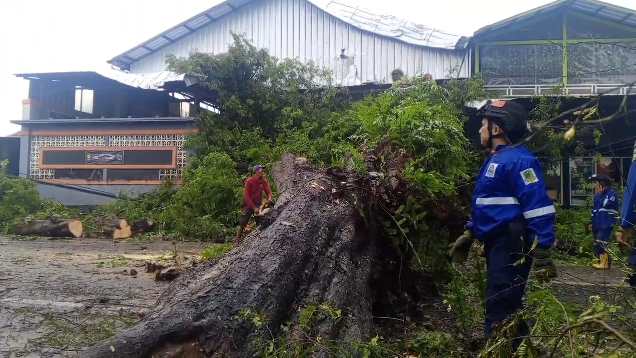 Pengemudi Truk Pasrah, Dua Kali Terjebak Pohon Tumbang di Jalur Cirebon-Kuningan