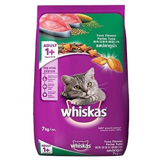 Populer Dikalangan Pecinta Kucing, Inilah 3 Merk Makanan kucing Murah dengan Kualitas Terbaik!