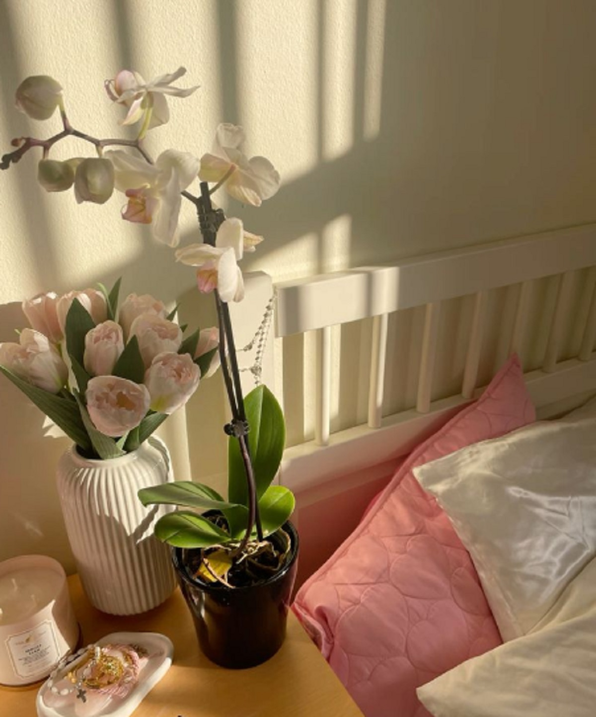 Cocok di Letakkan di Kamar, Berikut 5 Tanaman Bunga Yang Dapat Membuat Tidur Lebih Nyenyak