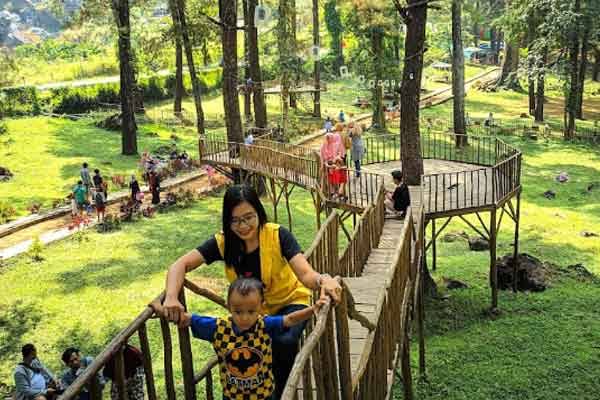 Woodland Kuningan, Wisata Hits di Alam Terbuka dengan Ragam Permainan Seru!