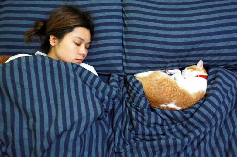 Apakah Kucing Boleh Tidur Dengan Manusia di Kasur yang Sama? Simak 3 Risikonya Berikut