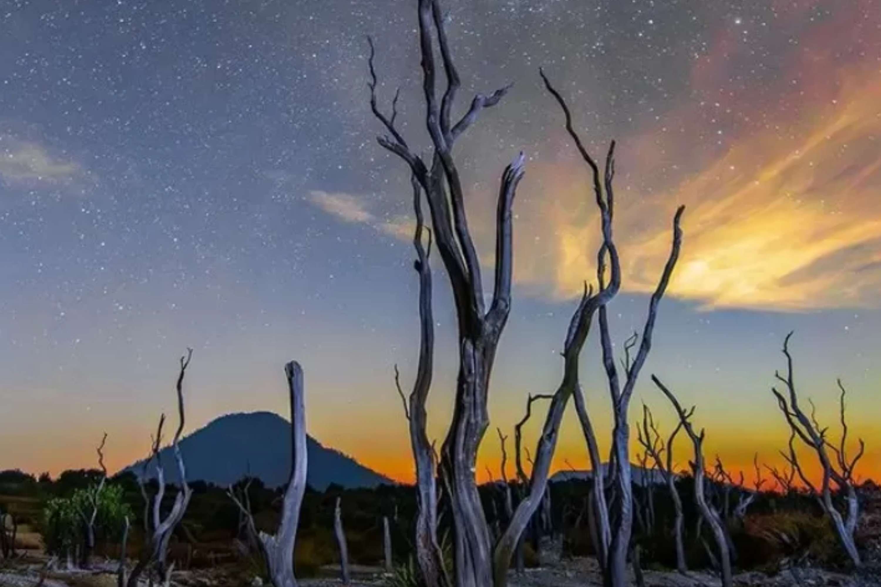 Wisatawan Bisa Apa Saja di Gunung Papandayan Garut? Ini 3 Tempat Wisata Favorit