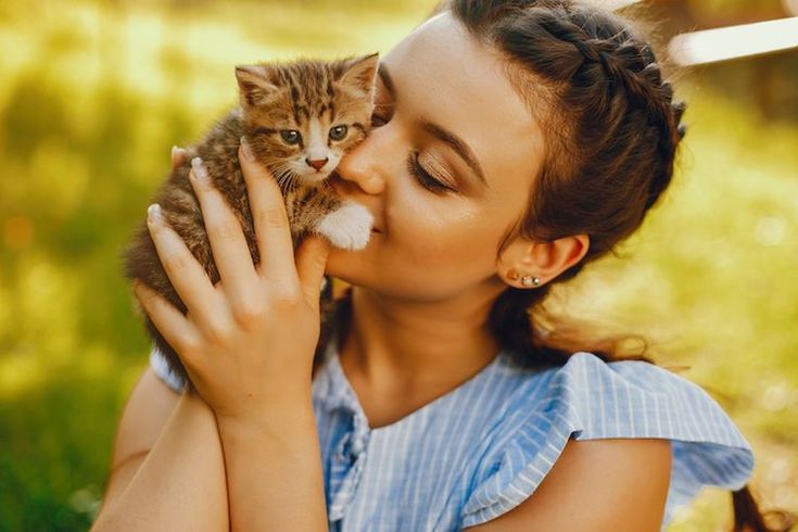 Iniah Tanda Kucing Senang Berada Di Dekat Anda, Nomor 5 Paling Jarang Diketahui Oleh Pemelihara