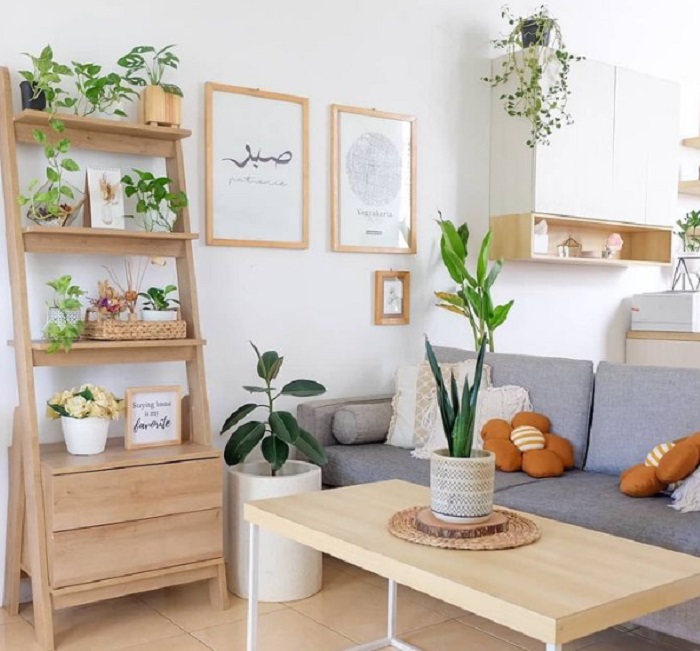 Bawa Hoki dan Keberuntungan! Ini Dia 5 Tanaman Hias Pembawa Keberuntungan di Ruang Tamu