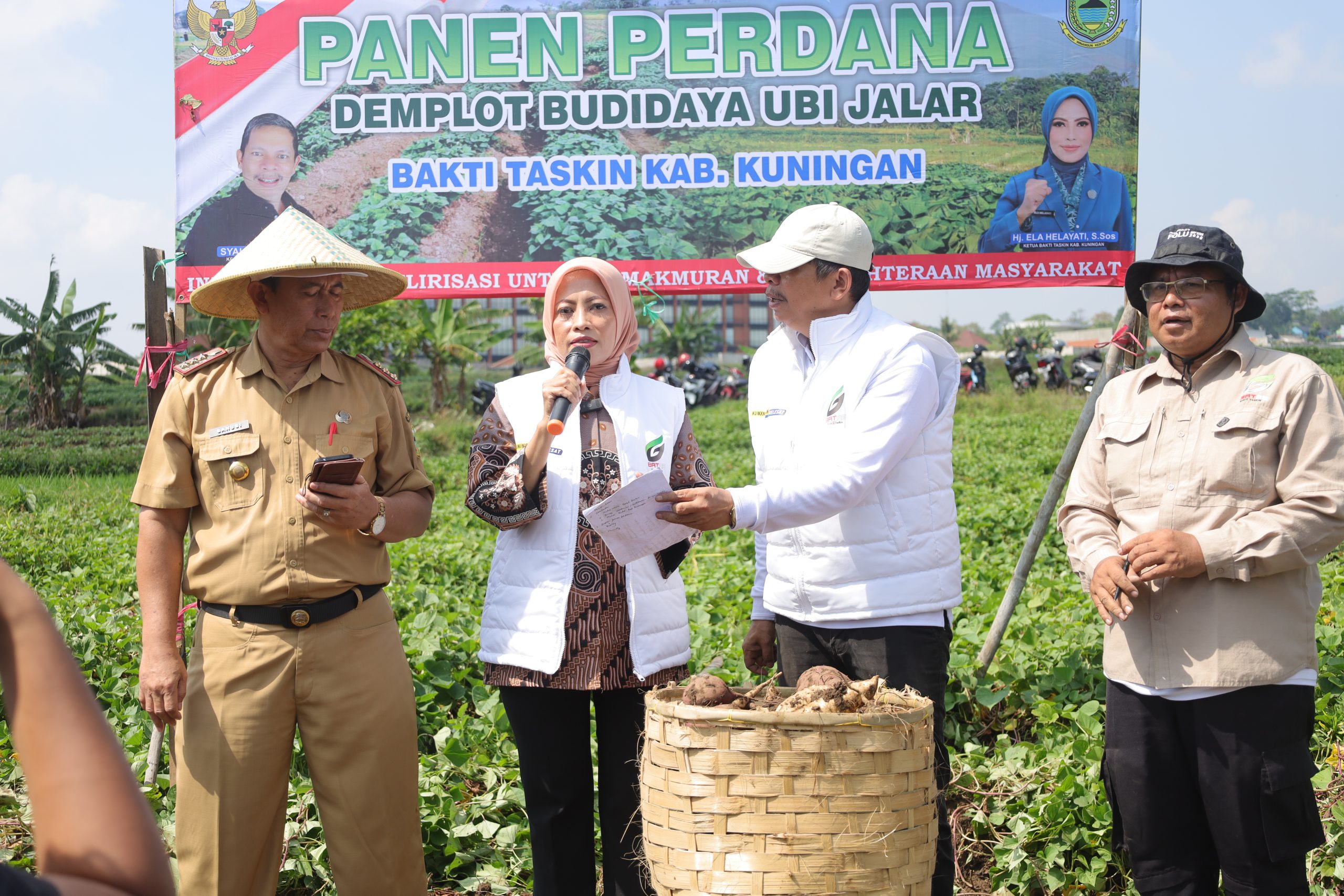 Kuningan Jadi Sentra Ubi Jalar Jawa Barat, Bakti Taskin Dorong Produktivitas Petani