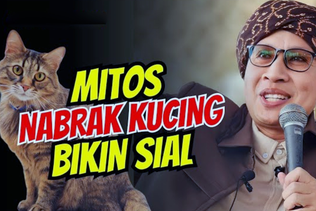 Hukum Menabrak Kucing Sampai Mati, Simak Penjelasan Buya Yahya, Termasuk Soal Mitos Dikafani