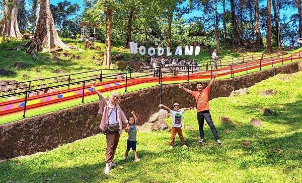 Info Woodland Kuningan, Lokasi, Jam Operasional, Harga Tiket Masuk, Spot Foto, dan Kegiatan Seru