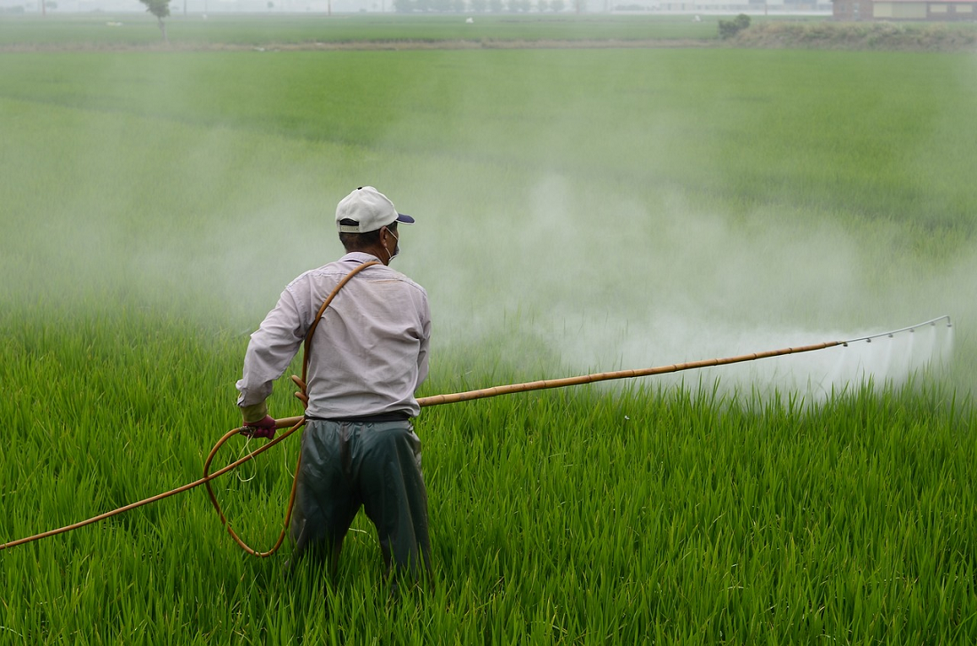 Ingin Tahu Seberapa Efektif Pestisida Dalam Membasmi Hama Tanaman? Simak Penjelasan Berikut Ini! 