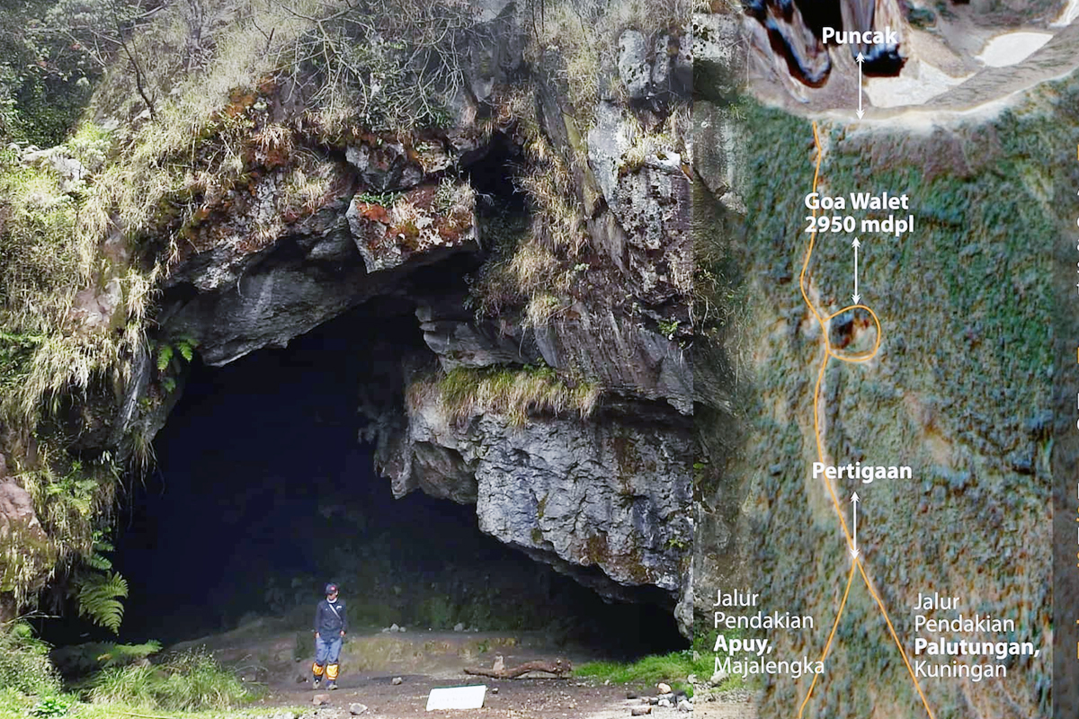 5 Fakta untuk Mengenal Goa Walet di Gunung Ciremai, Dekat Lokasi Pendaki Bandung Meninggal Dunia