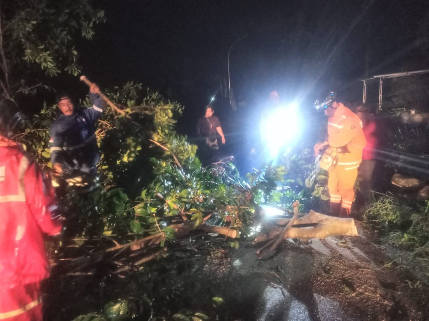 Hujan Disertai Angin Kencang Melanda Kuningan, Pohon Timpa Rumah hingga Tutup Jalan