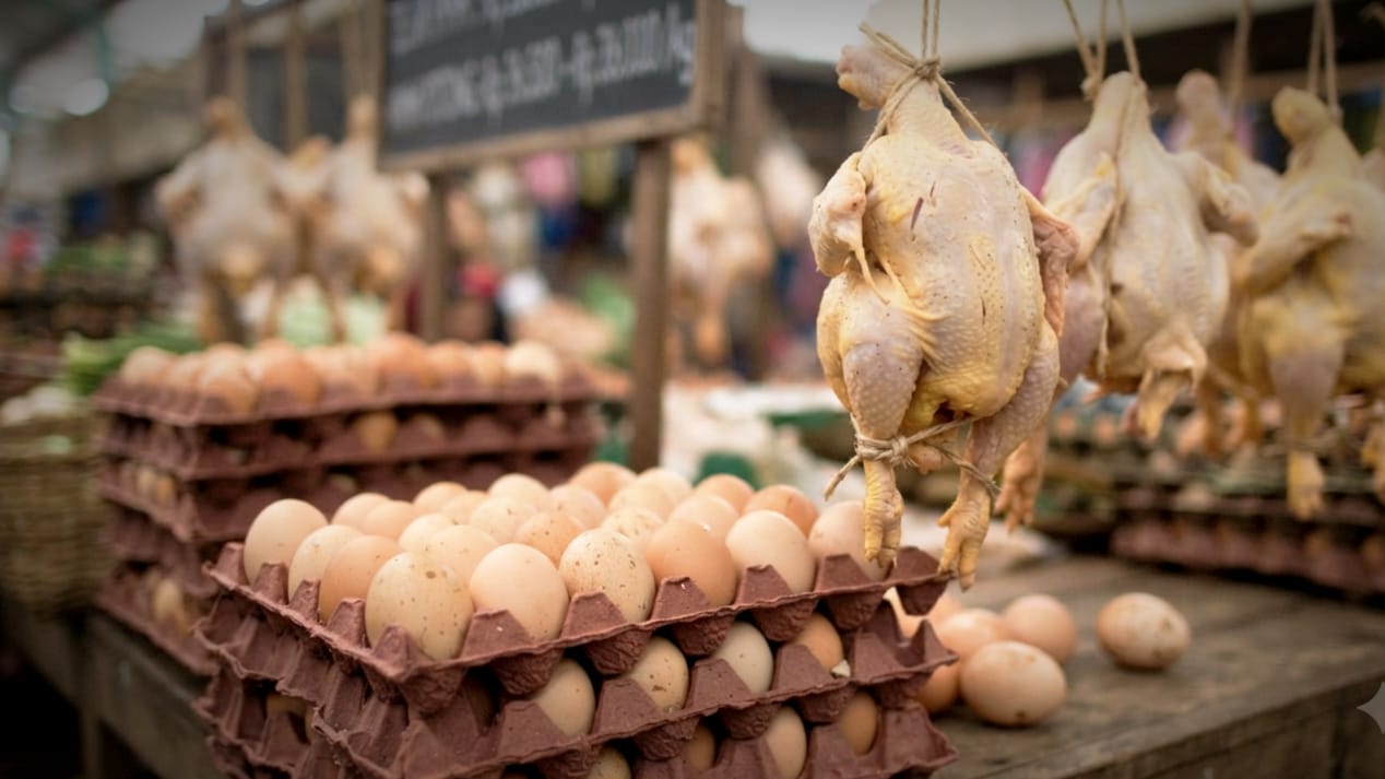 Spanyol Angkat Trofi, Telur Ayam di Kuningan Naik Harga