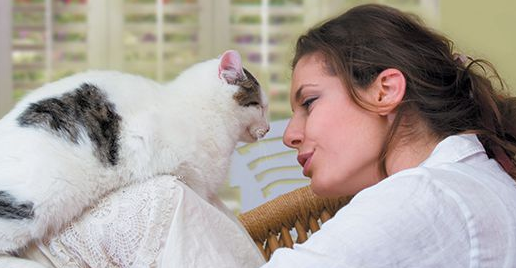 Wajib Bisa! Ini 4 Cara Berkomunikasi dengan Kucing Peliharaan, yang Mudah Dipelajari!