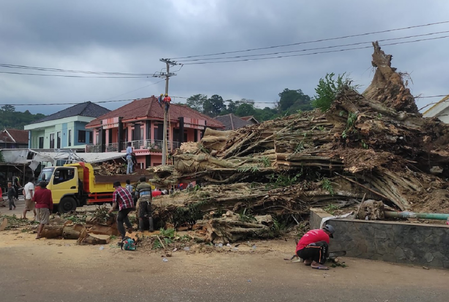 Kesaksian Warga Tentang Penyebab Pohon Beringin Usia 300 Tahun Roboh di Majalengka