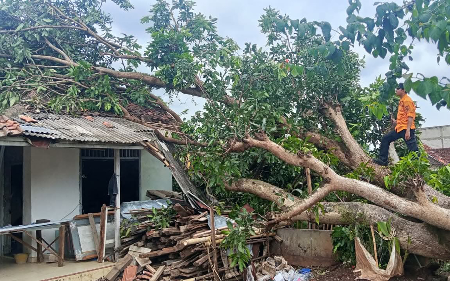 BPBD Kuningan: Jangan Berteduh di Bawah Pohon Besar