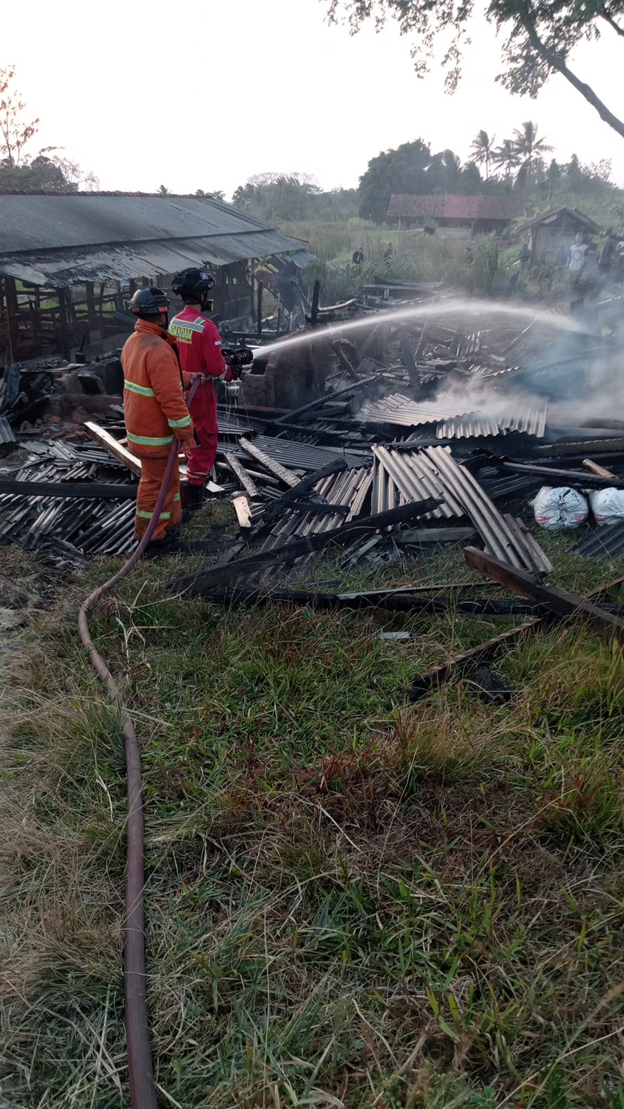 Tiga Sapi dan 14 Kambing Jadi Arang, Kebakaran Kandang di Desa Karangmuncang Kuningan