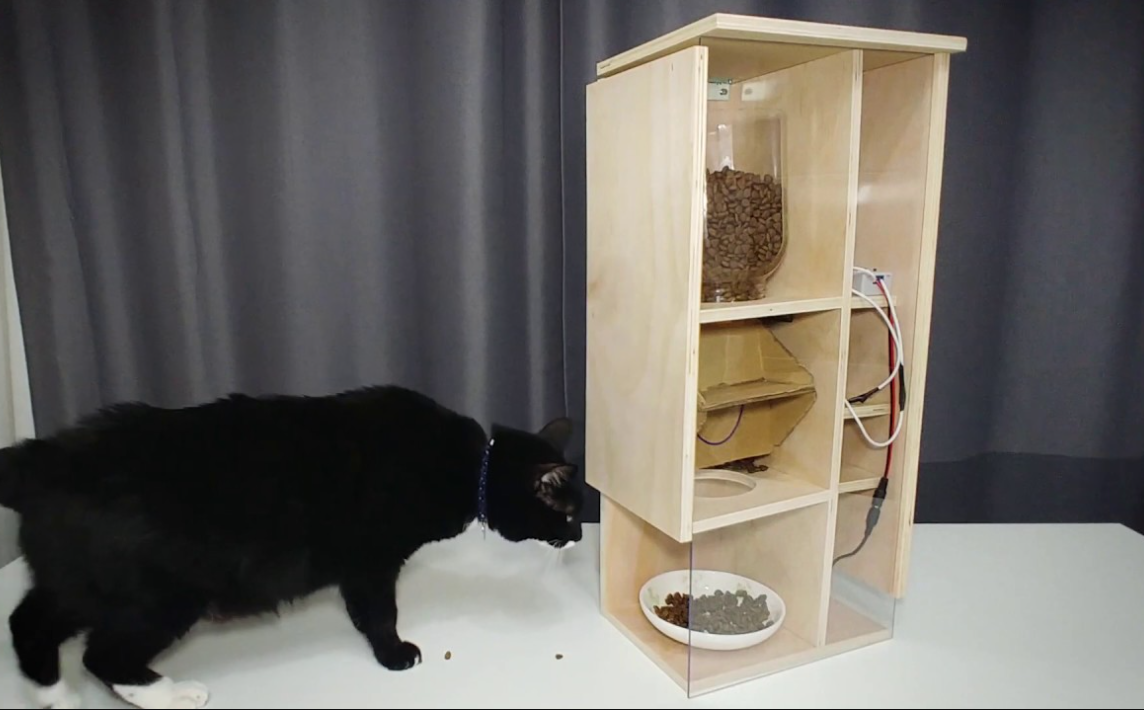 Ini Cara Memberi Makan Kucing di Rumah saat Pergi Mudik, Bukan Dititip ke Tetangga atau Pet Hotel!