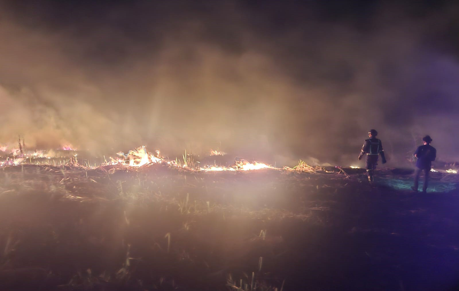 Lahan Tebu di Desa Sangkanmulya Terbakar, Angin Kencang Percepat Api Merambat