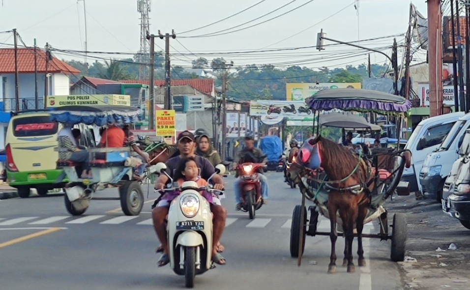 Jumlah Kuda di Kabupaten Kuningan Kian Menurun, Apakah Layak Lagi Daerah Ini Dijuluki Kota Kuda?