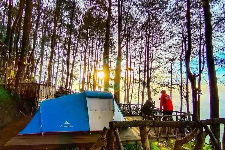 Berkemah Mewah! Berikut Rekomendasi 5 Tempat Glamping di Palutungan Kuningan, Bikin Betah Wisatawan!