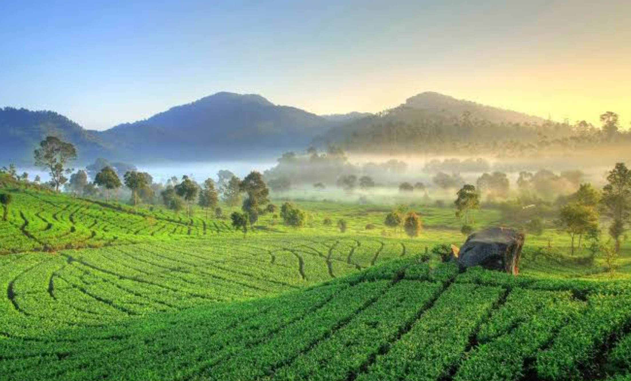 Satu Kecamatan Dapat Banyak, Wisata Ciwidey yang Cocok Buat Liburan Akhir Pekan