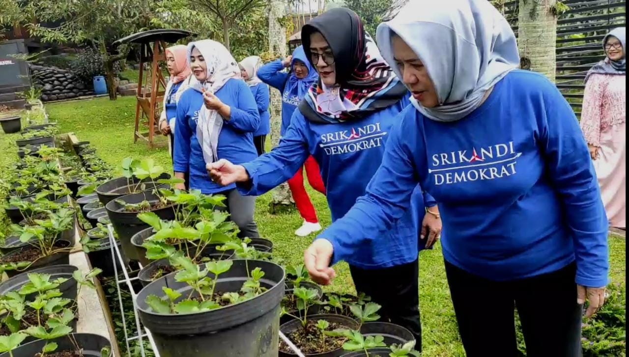 Dulu Menanam, Kini Srikandi Demokrat Memanen