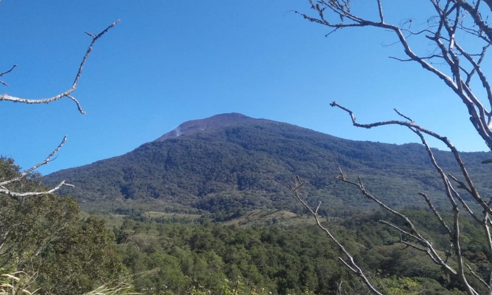 Ekosistem Gunung Ciremai Cocok Jadi Habitat Harimau Jawa, Banyak Sumber Air dan Cadangan Pangan