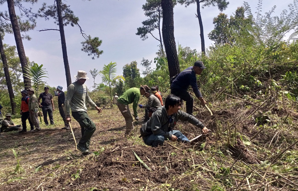 Cegah Kebakaran Hutan Gunung Ciremai, Bikin Sekat Bakar di Blok Lambosir - Karangdinding