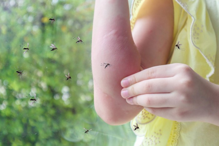 Oh ini, 4 Faktor yang Mengundang Nyamuk Untuk Mengganggu Kita! No. 4 Jarang Disadari