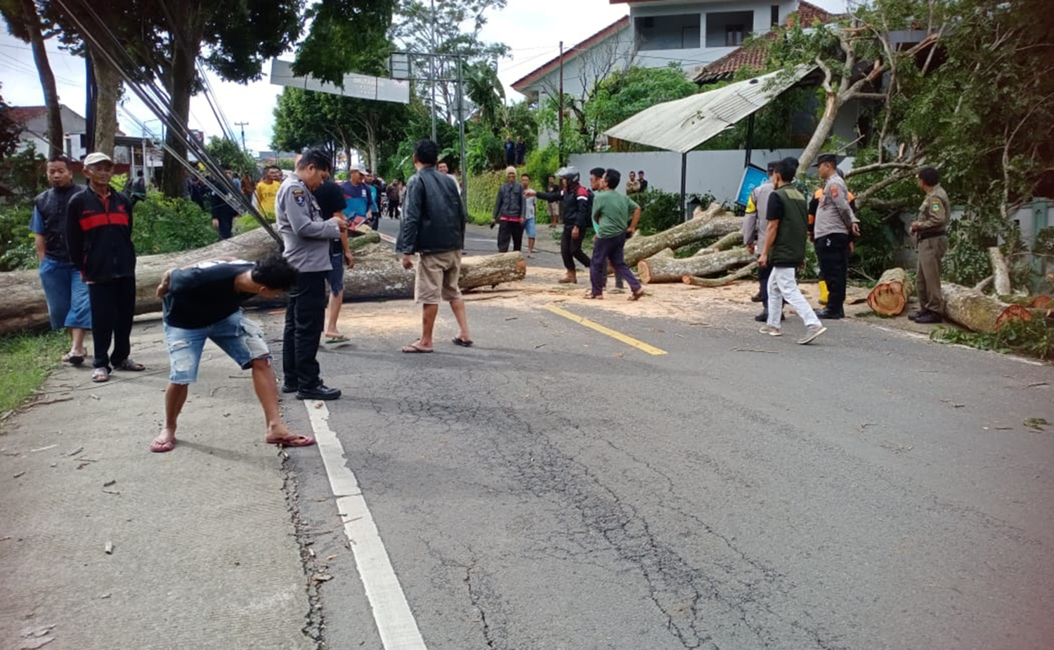 Diterpa Angin Kencang, Pohon Tumbang Timpa 2 Rumah di Cikijing