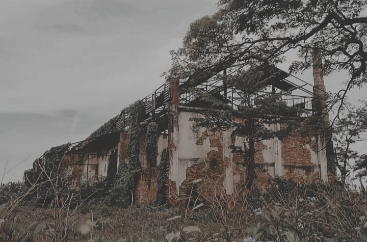 Menilik Sisa Peninggalan Kolonial Belanda di Subang, Ada 2 Bangunan Pabrik Penggilingan Padi Masih Berdiri