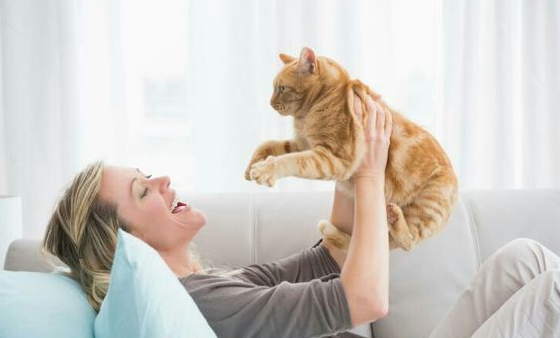 Ternyata Kucing Juga Bisa Sosweet! Ini Dia 7 Tips Membuat Kucing Menjadi Penyayang kepada Pemiliknya
