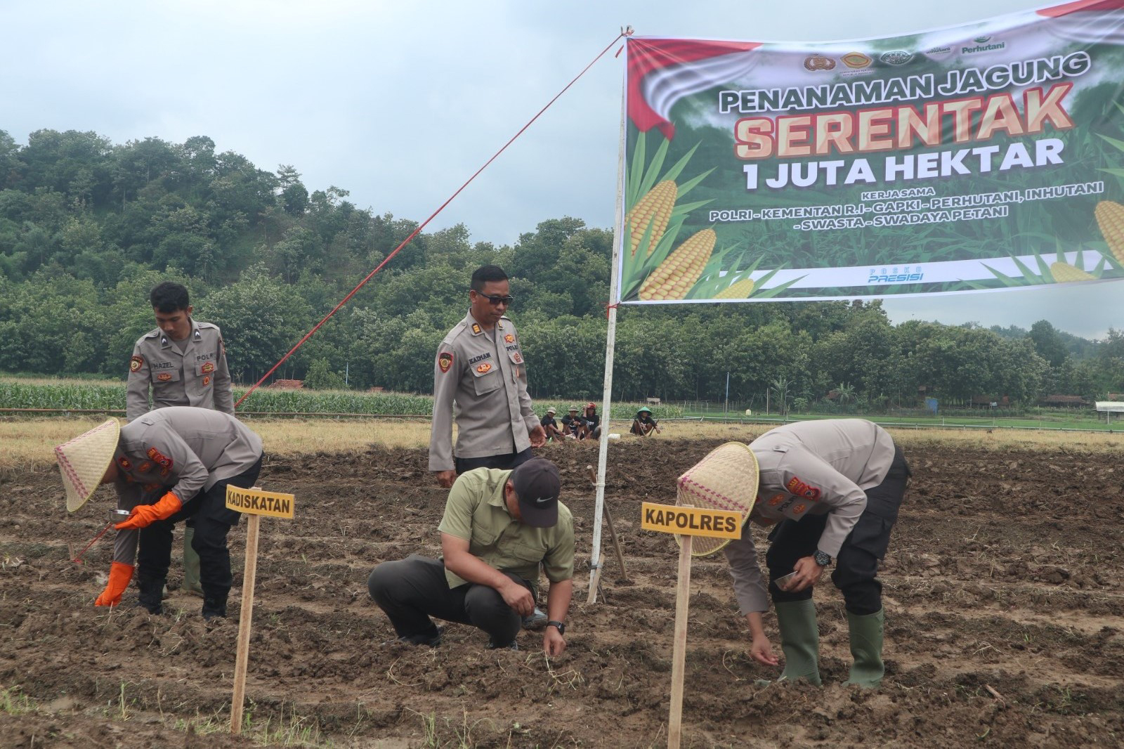 Diskatan-Polres Kuningan Serentak Tanam Jagung 1 Juta Hektare