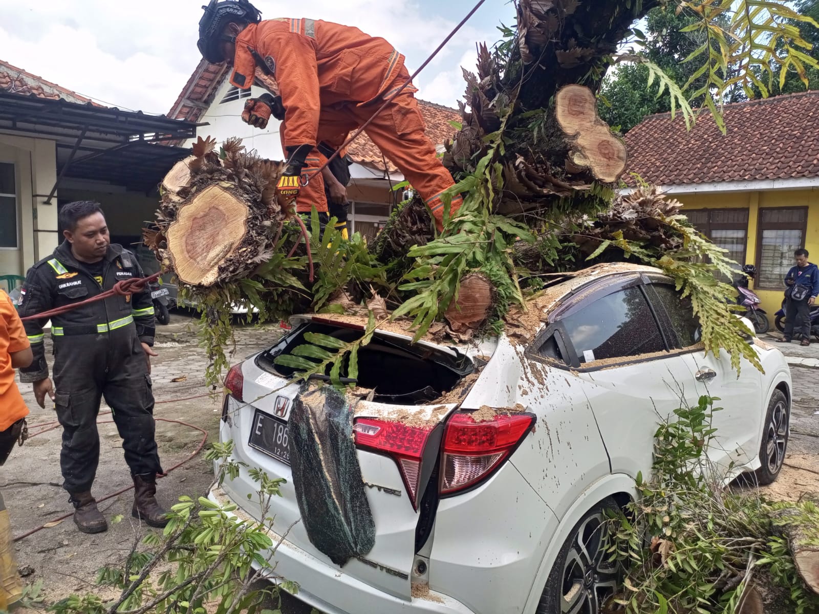 BREAKING NEWS: Kejadian di Puskesmas Luragung Kuningan, Pohon Tumbang Menimpa 3 Mobil