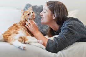 8 Perilaku Kucing Sebagai Tanda Sayang Pada Kita, Bikin Baper! Cat Lovers Sudah Tahu? 