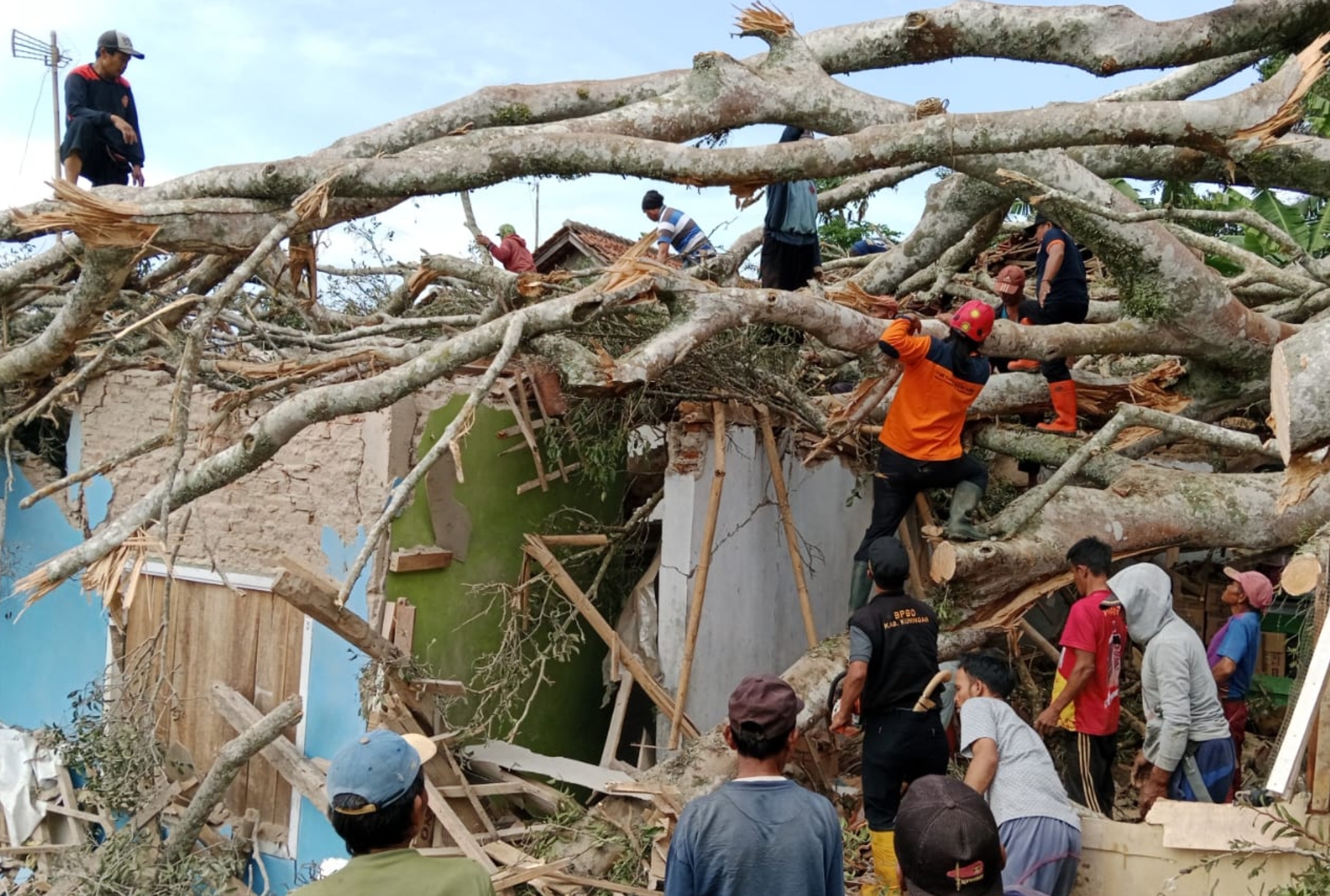 Tragedi Pohon Beringin di Kuningan, Tumbang dan Menimpa 3 Rumah, Sejumlah Warga Terluka