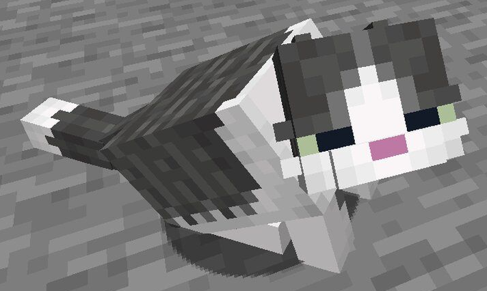 Kini Kamu Bisa Menjinakkan dan Memelihara Seekor Kucing di Minecraft ! Berikut Tipsnya
