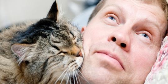Ikatan Batin Kucing Kuat! Inilah 5 Tanda Kucing Merasa Khawatir dengan Majikan yang Sedang Sedih