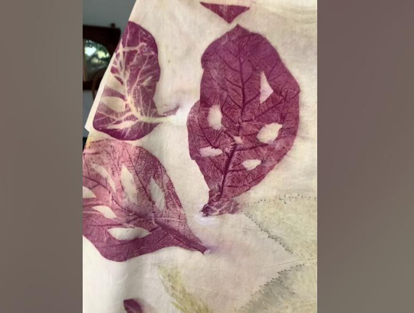 Apakah Janda Bolong Bisa untuk Ecoprint? Inilah Beberapa Daun yang Bisa Dijadikan Motif Ecoprinting