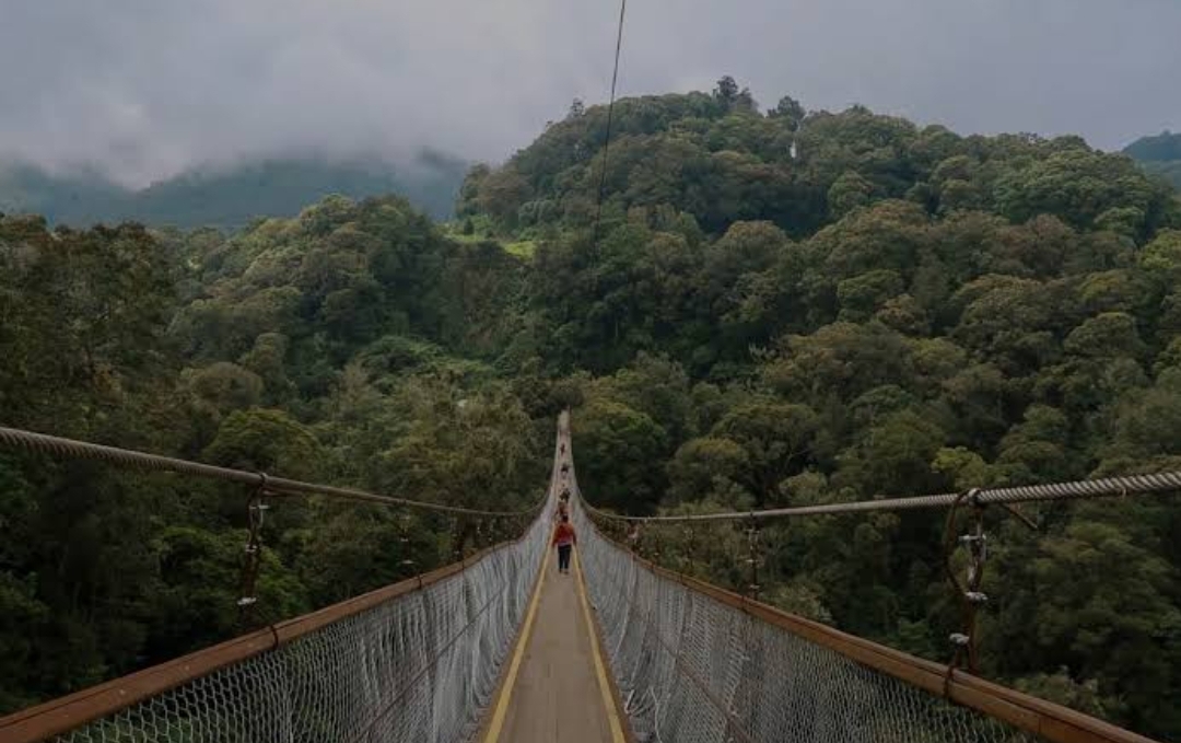 10 Rekomendasi Tempat Wisata di Ciwidey dan Pangalengan, Wajib Masuk Daftar Liburan