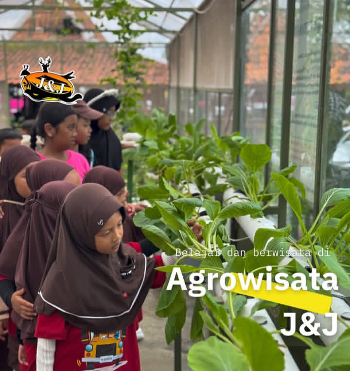 Mau Liburan Edukatif & Seru? Ini 5 Rekomendasi Wisata Anak di Kuningan yang Sayang untuk Dilewatkan