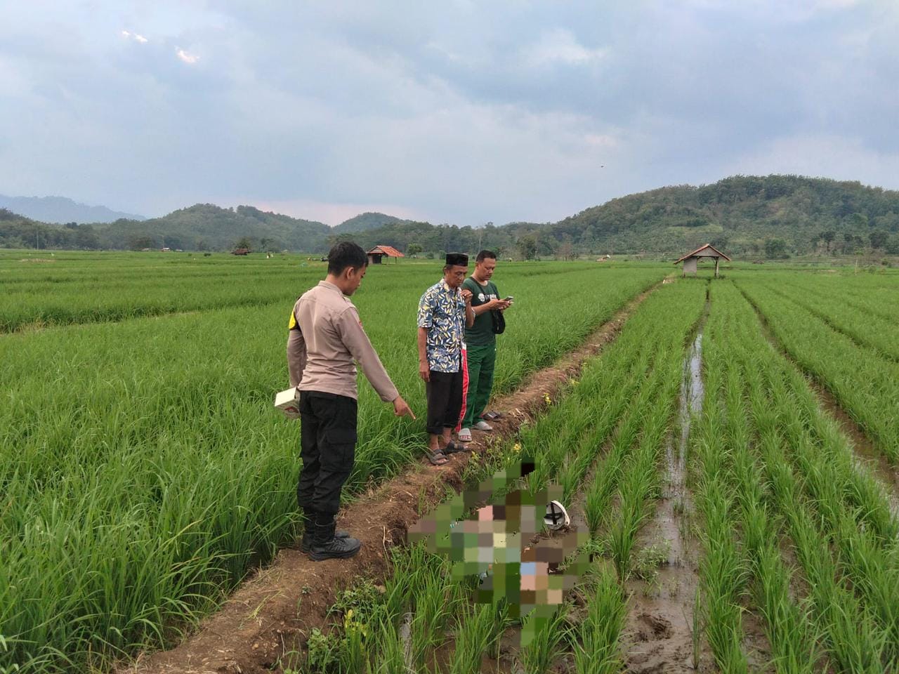 Pria Asal Cibeureum Ditemukan Meninggal di Sawah, Ini Hasil Pemeriksaan Polisi