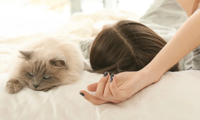 Kenapa Kucing Suka Tidur Bersama Kita? Ternyata Ini 4 Alasannya, Bikin Terharu dan Emosional