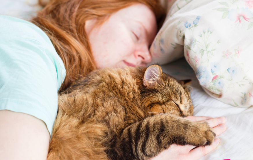 Apakah Kucing Bahagia Tidur dengan Kita? Simak 4 Alasan Kenapa Kucing Ingin Tidur Bareng Pemiliknya