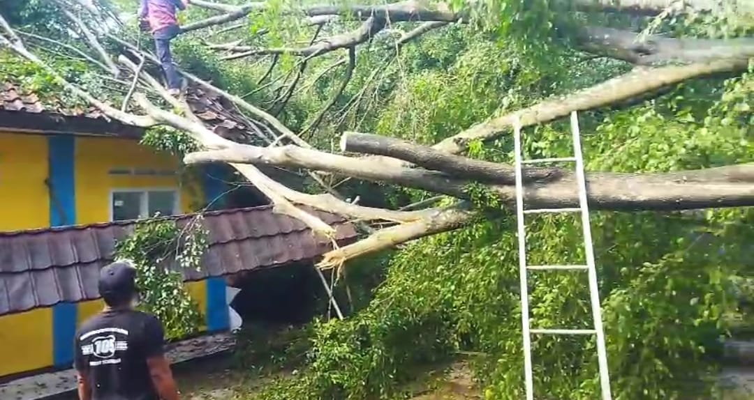 Angin Kencang Terjang Jalaksana Kuningan, Rumah Warga dan Madrasah Rusak Tertimpa Pohon