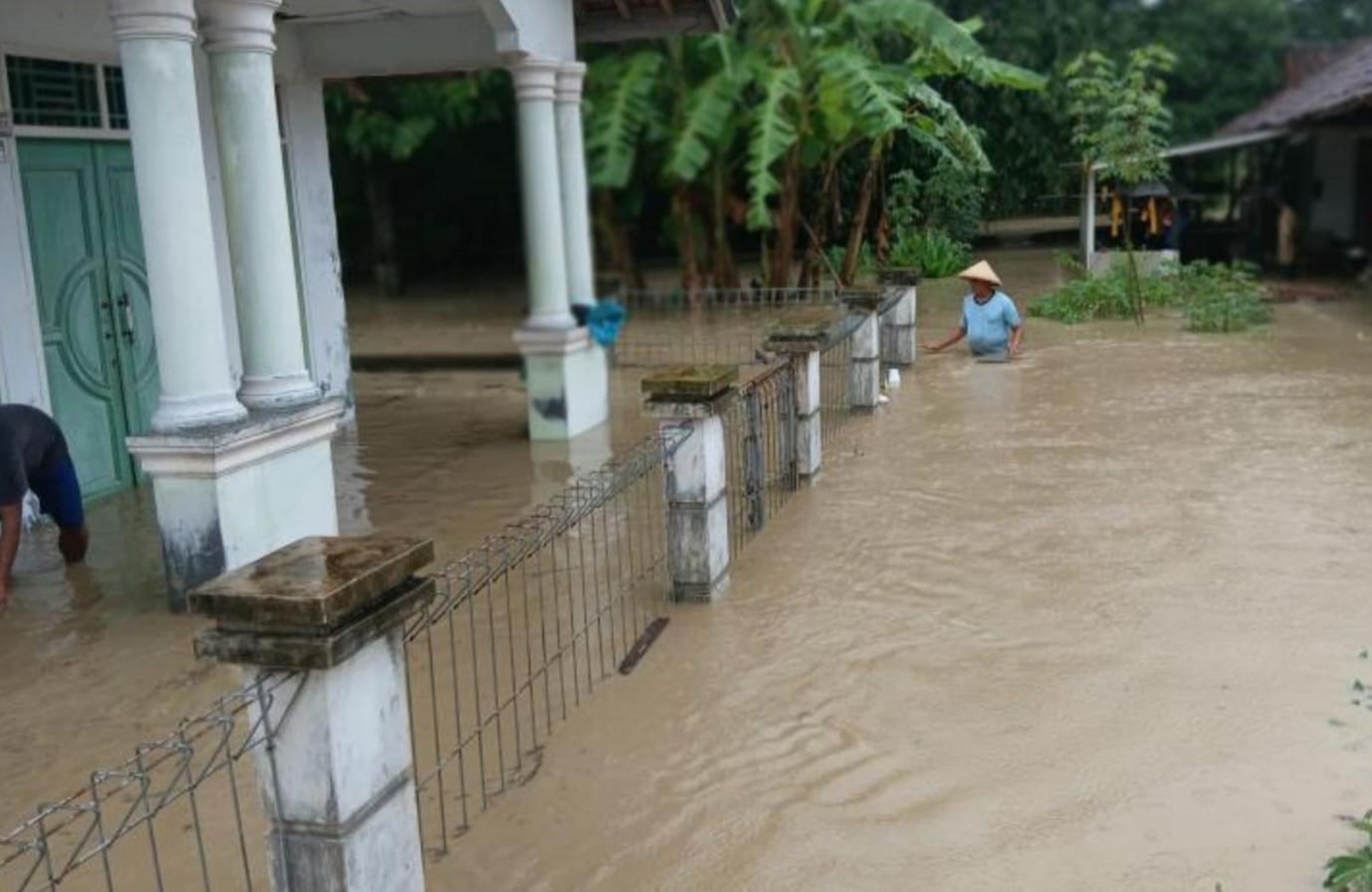 Banjir di Desa Cimahi, 153 Rumah Terendam, Ratusan Ternak Hanyut