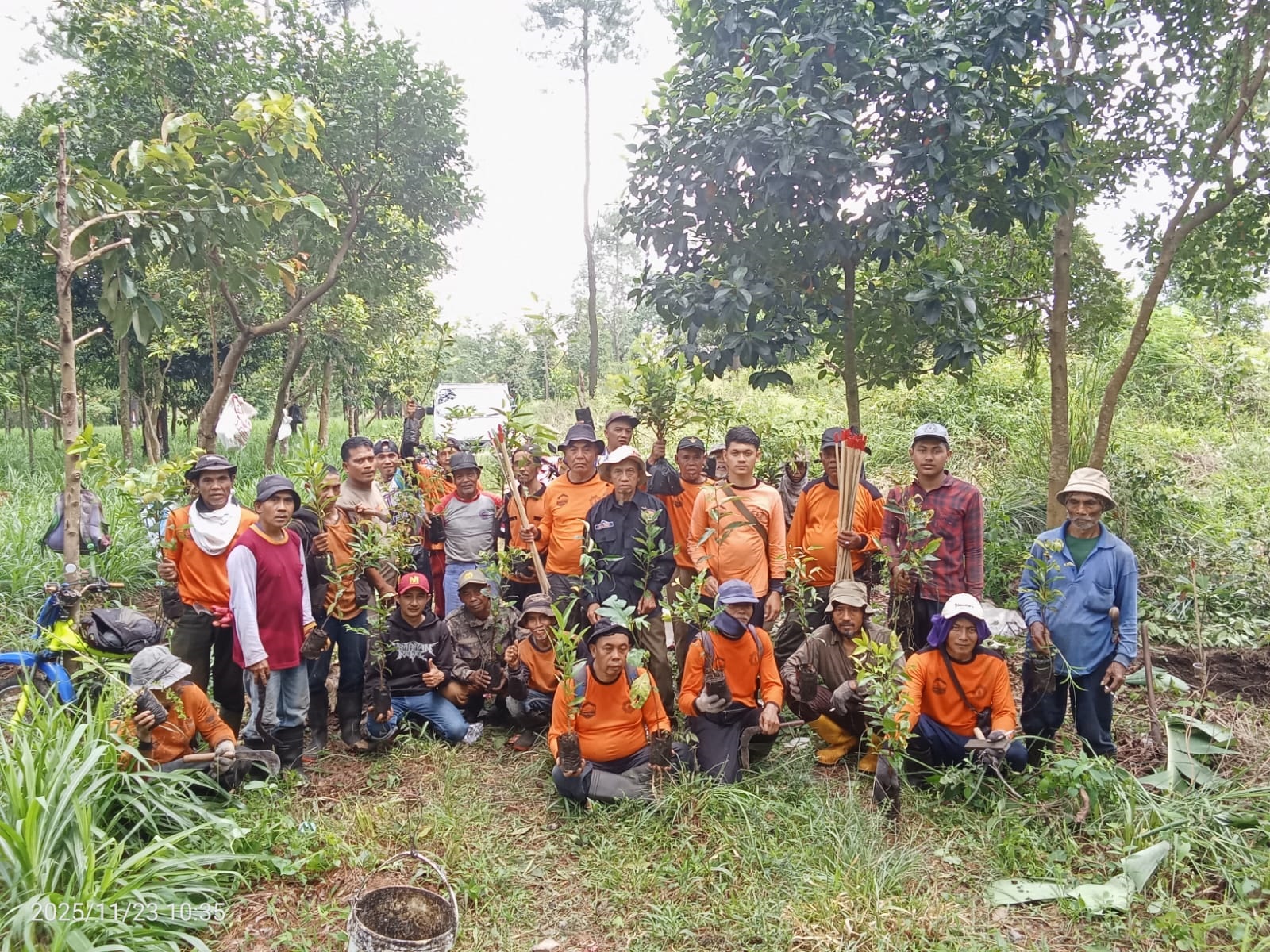 Paguyuban Silihwangi Majakuning Konsisten Tebar Pohon Endemik di Gunung Ciremai