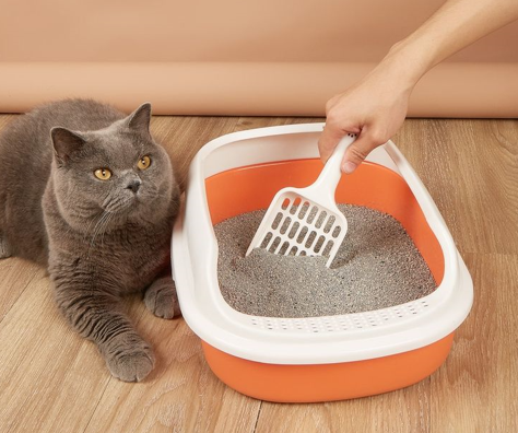 Begini Cara Membersihkan dan Membuang Kotoran Kucing dari Kotak Pasir Kucing dengan Mudah