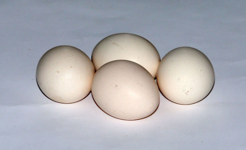 Harga Telur Ayam Kian Melambung, Pedagang di Pasar Tradisional Kuningan Enggan Menjual