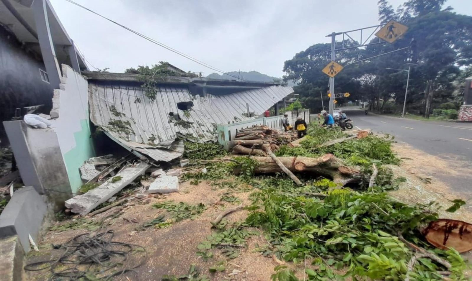 Hati-Hati Lewati Jalur Cirebon-Kuningan, Marak Pohon Tumbang